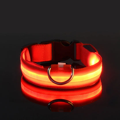 GlowBuddy LED Collar