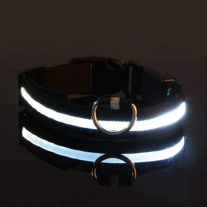 GlowBuddy LED Collar