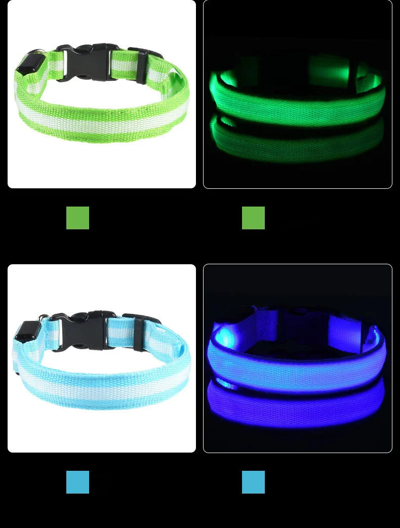 GlowBuddy LED Collar
