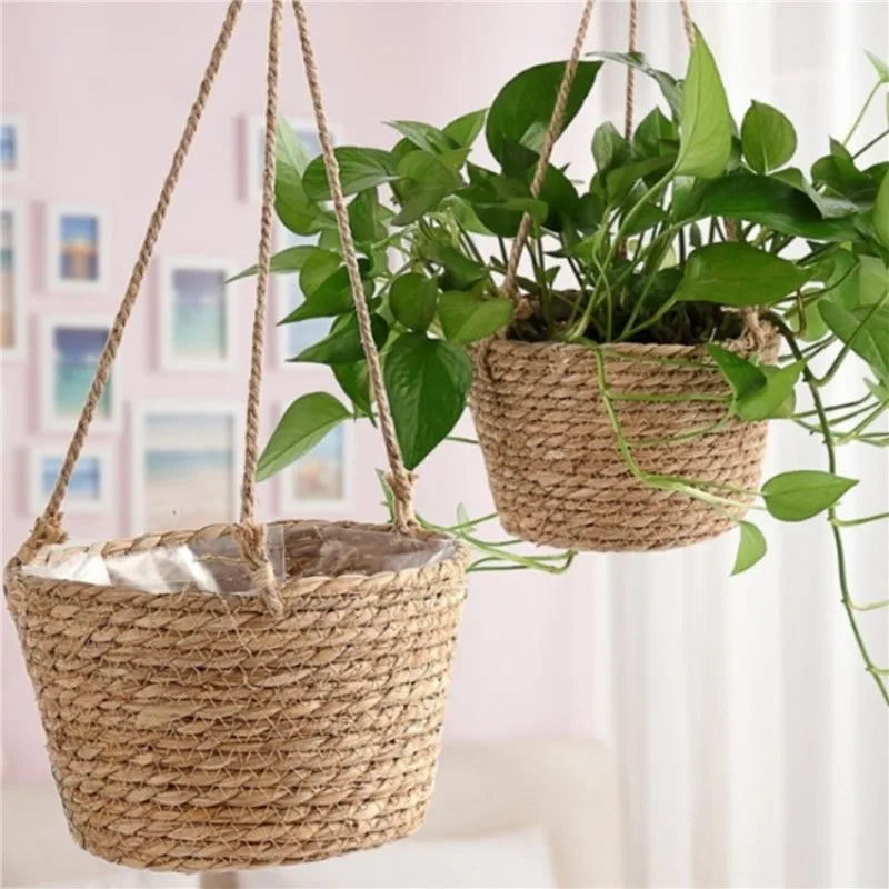 Decorative Plant Hanging Basket