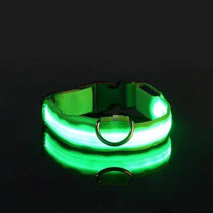 GlowBuddy LED Collar