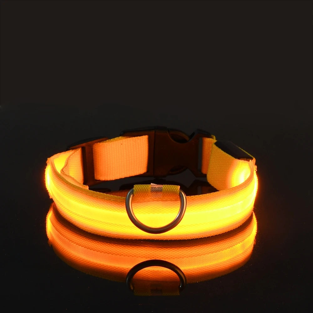 GlowBuddy LED Collar