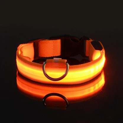 GlowBuddy LED Collar