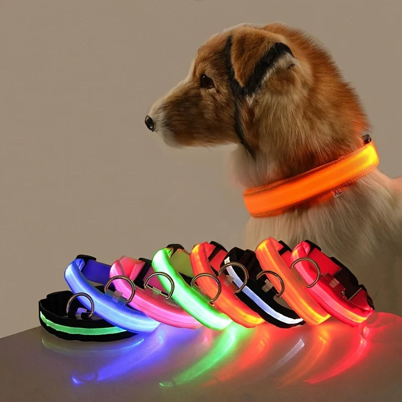 GlowBuddy LED Collar