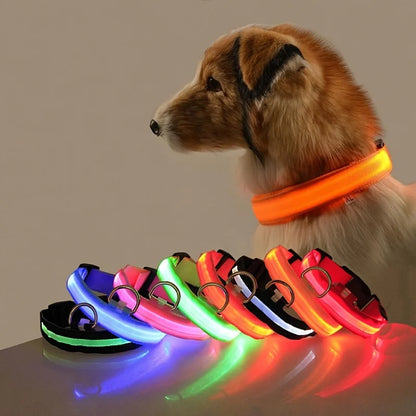 GlowBuddy LED Collar