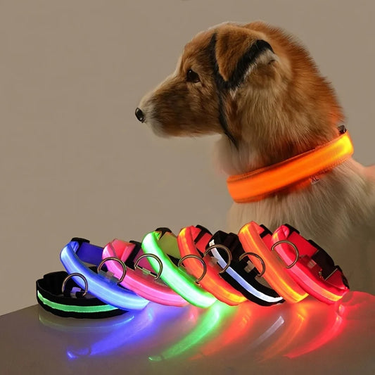 GlowBuddy LED Collar
