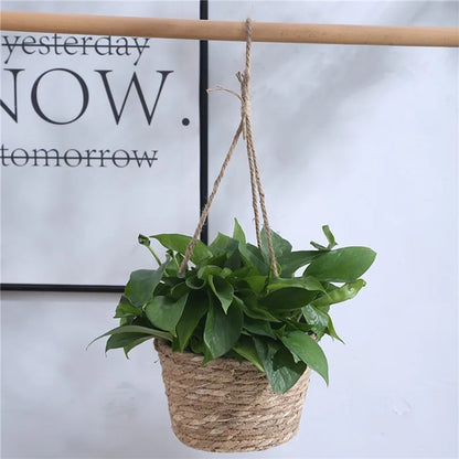 Decorative Plant Hanging Basket