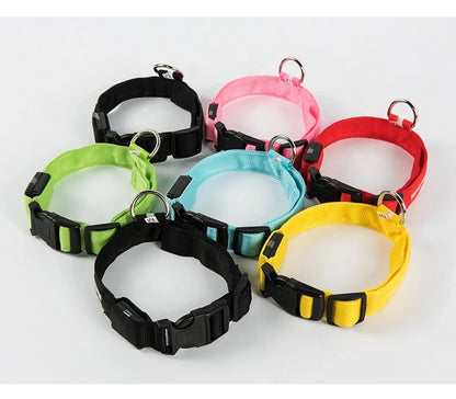 GlowBuddy LED Collar