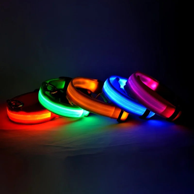 GlowBuddy LED Collar