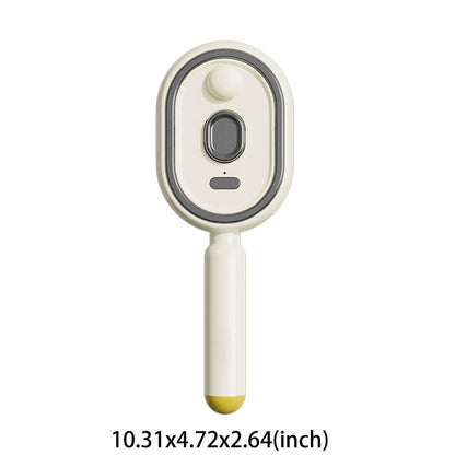 Electric Steam Brush with Water Spray