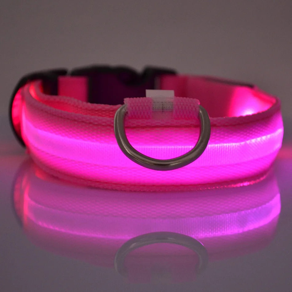 GlowBuddy LED Collar