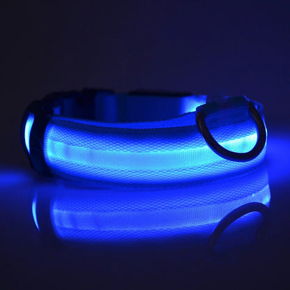 GlowBuddy LED Collar