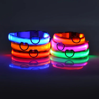 GlowBuddy LED Collar