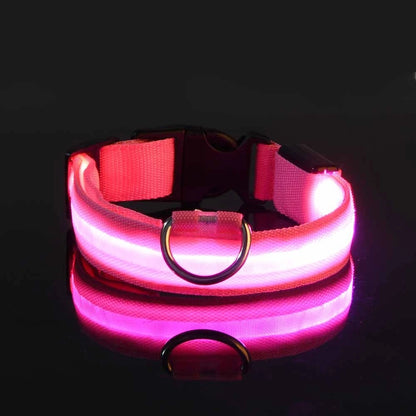 GlowBuddy LED Collar