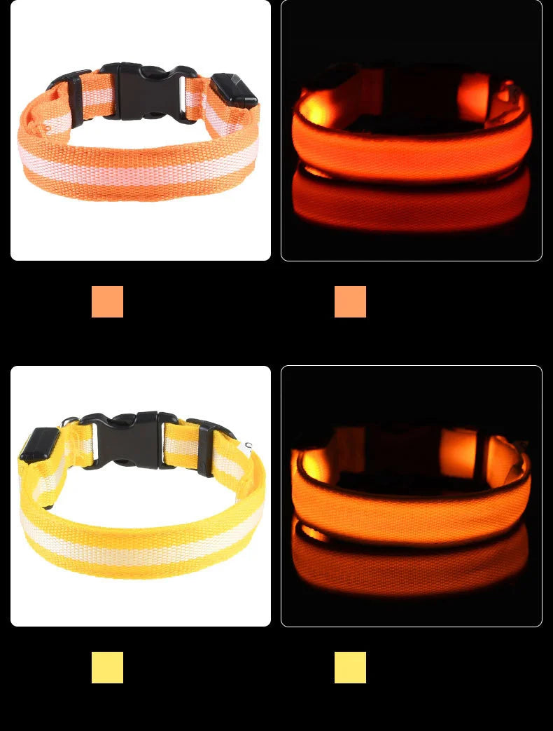 GlowBuddy LED Collar
