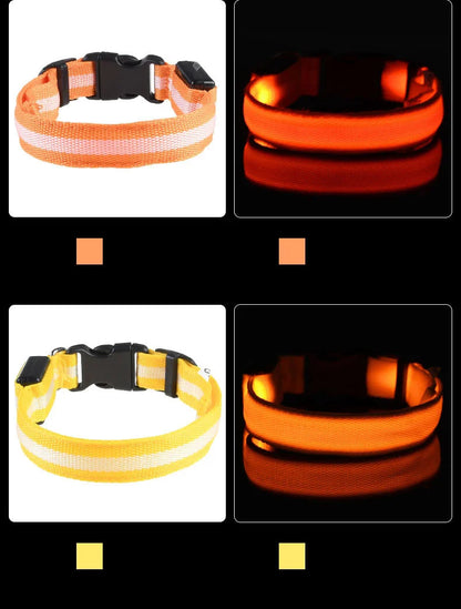 GlowBuddy LED Collar