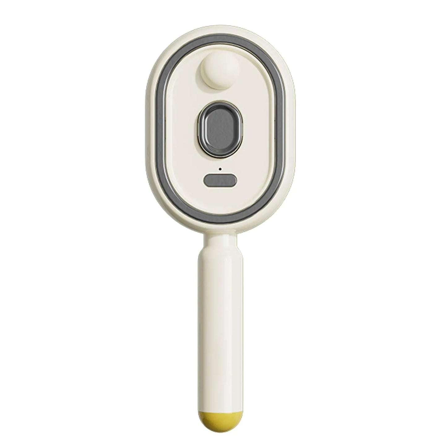 Electric Steam Brush with Water Spray