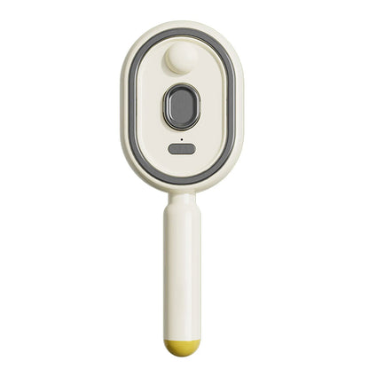 Electric Steam Brush with Water Spray