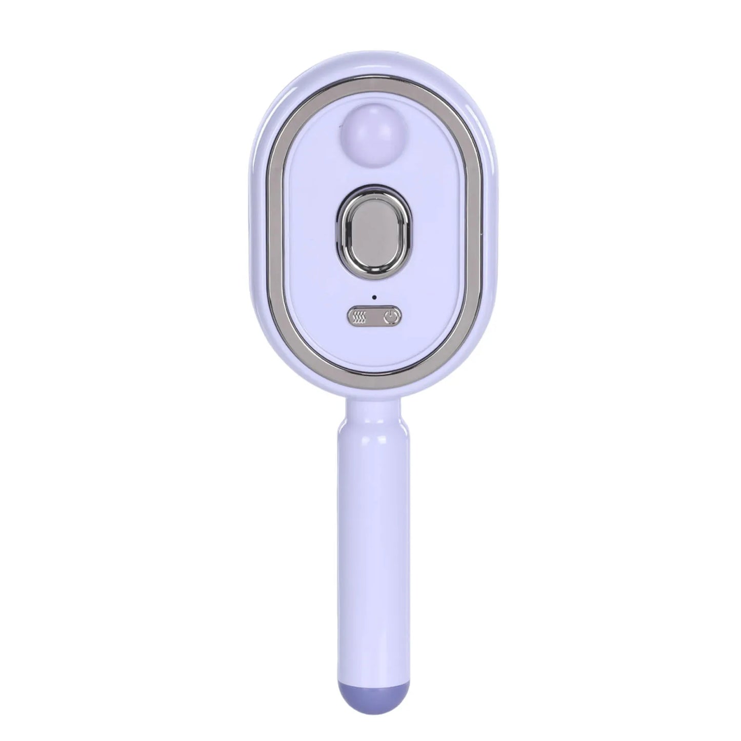 Electric Steam Brush with Water Spray