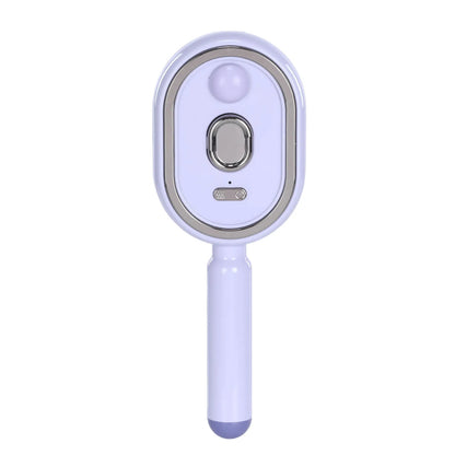 Electric Steam Brush with Water Spray
