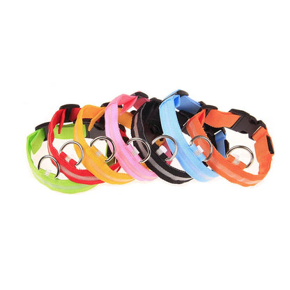 GlowBuddy LED Collar