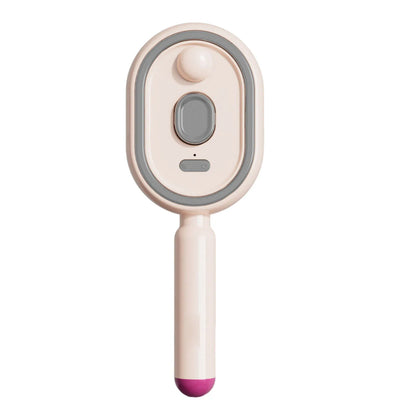 Electric Steam Brush with Water Spray