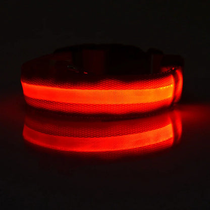 GlowBuddy LED Collar