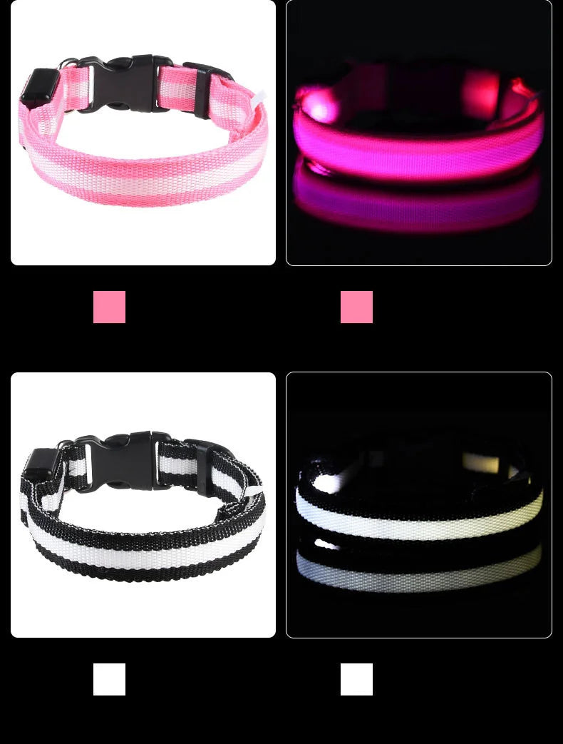 GlowBuddy LED Collar