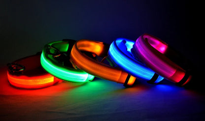 GlowBuddy LED Collar