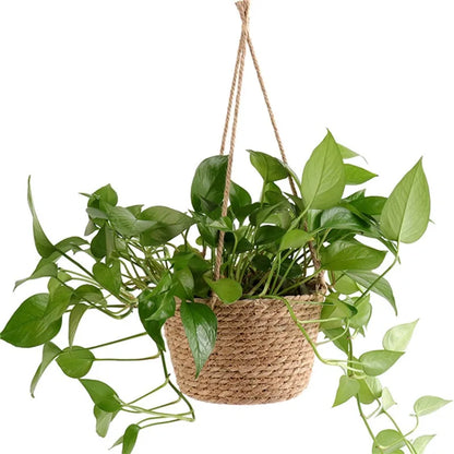 Decorative Plant Hanging Basket