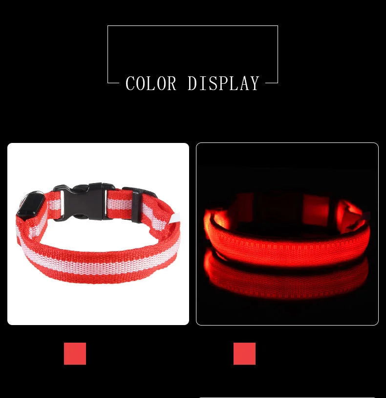 GlowBuddy LED Collar